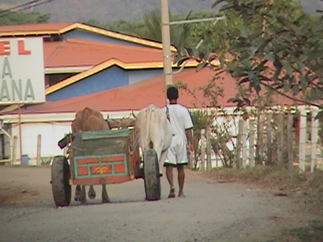 Costa Rica 028.jpg